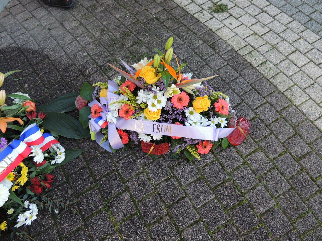 2018 03 26 TOULON HOMMAGE AUX VICTIMES DU MASSACRE DE LA RUE D ISLY (14).JPG -           